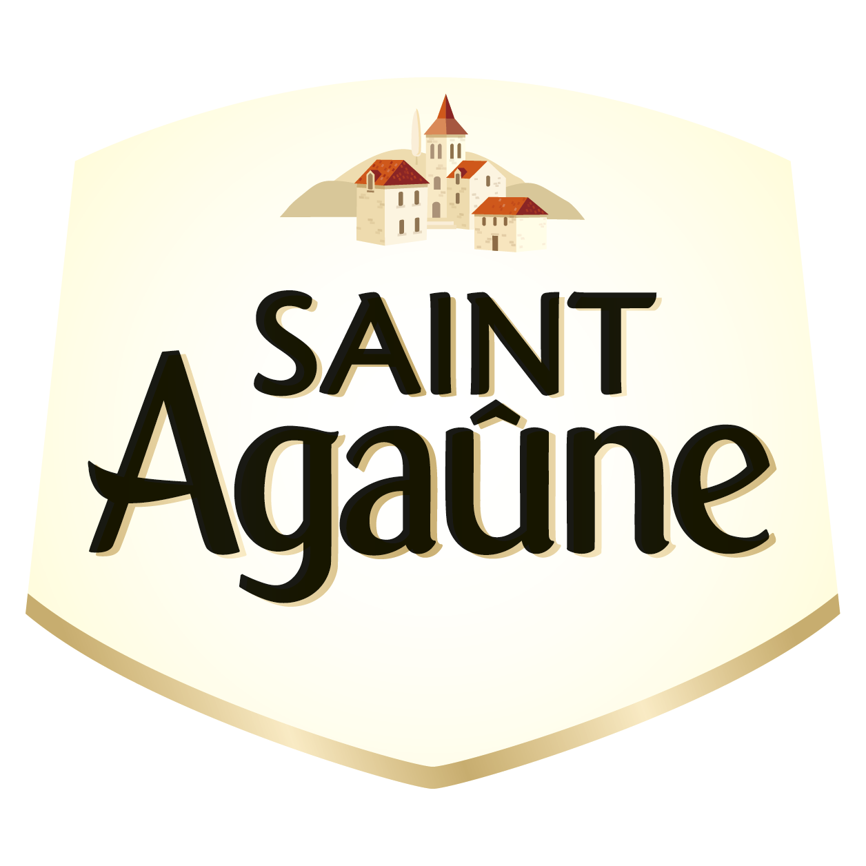 Saint Agaûne – Réseaux Professionnels